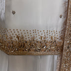 Party wear dresses for girl in Pakistan PW032 shirt close up – kora nakshi sequin hand work detail on off-white sheesha silk fabric
