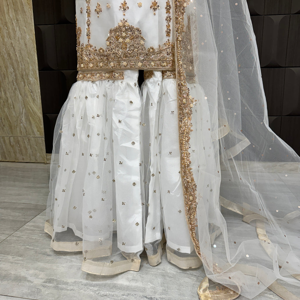 Party wear PW038 garara design view – white net garara with hand embroidery Pakistani party wear dress for women
