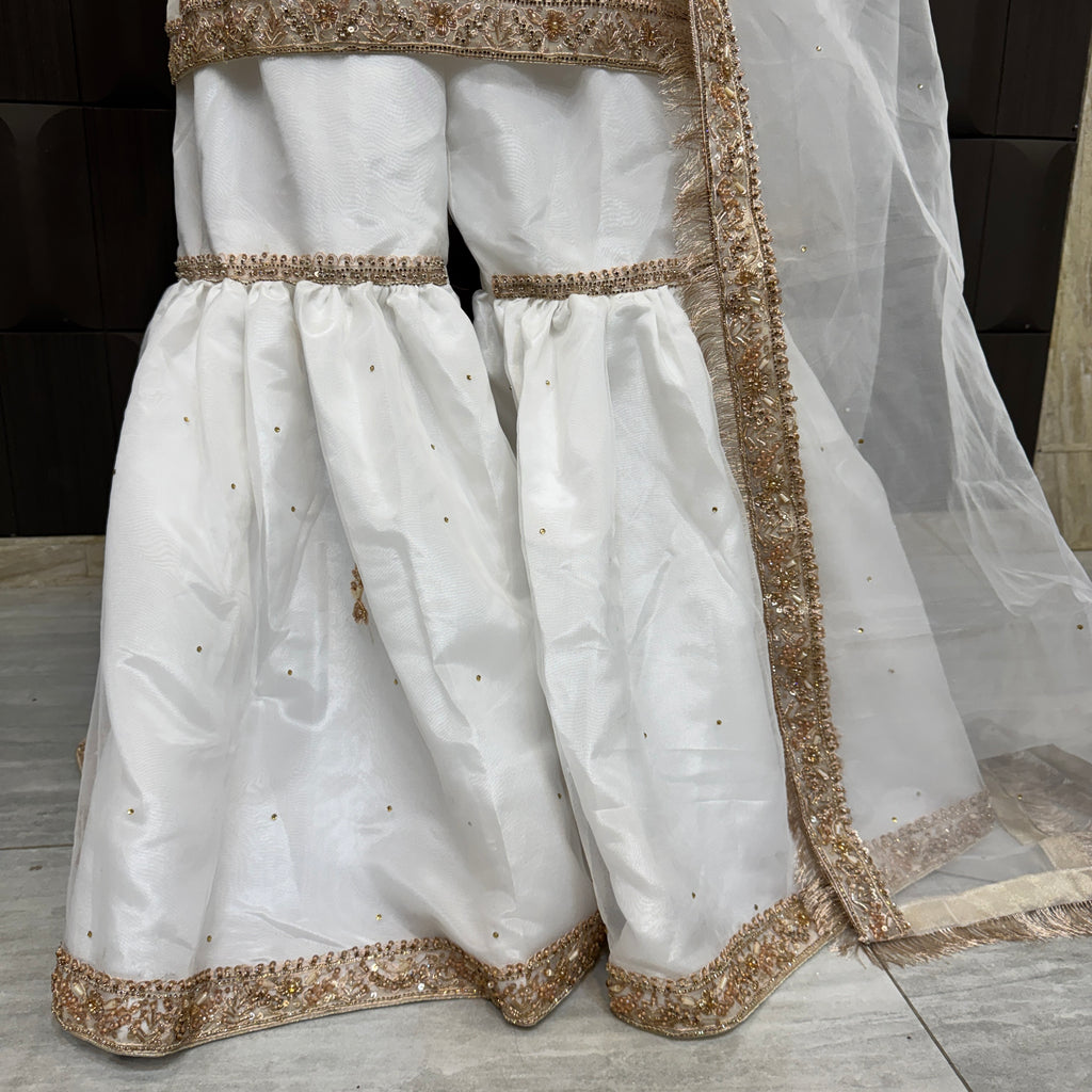 Party wear PW039 garara design view – white organza tissue garara with hand embroidery Pakistani party wear dress for women
