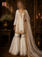Party wear PW039 full view – white organza tissue hand embroidery garara design Pakistani party wear dress for women
