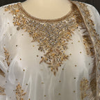 Party wear dresses for girl in Pakistan PW040 shirt close up – hand embroidery detail on white organza tissue nikah suit
