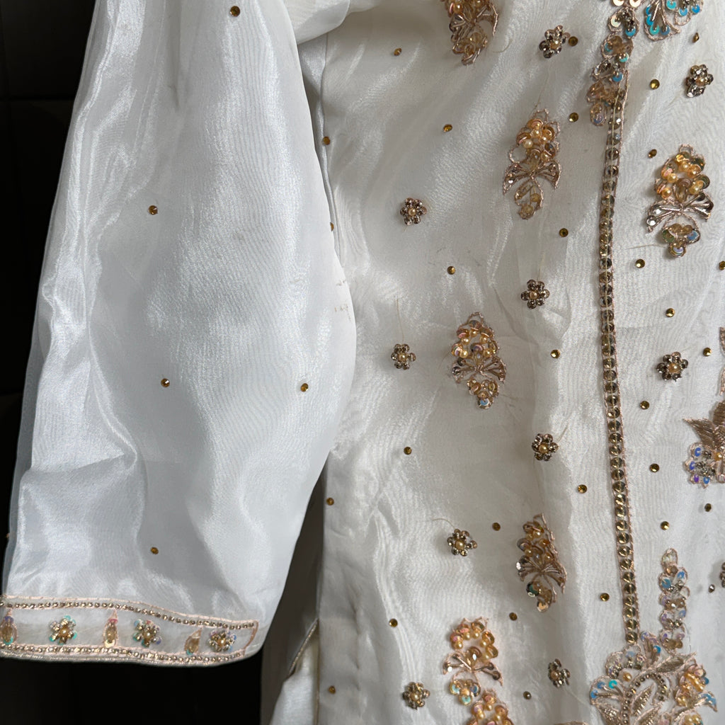 Party wear PW041 garara design view – white organza tissue garara with hand embroidery Pakistani party wear dress for women
