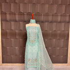 Thread work embroidery suit PWT005 full view – organza with embroidery thread work Pakistani thread work dress for women
